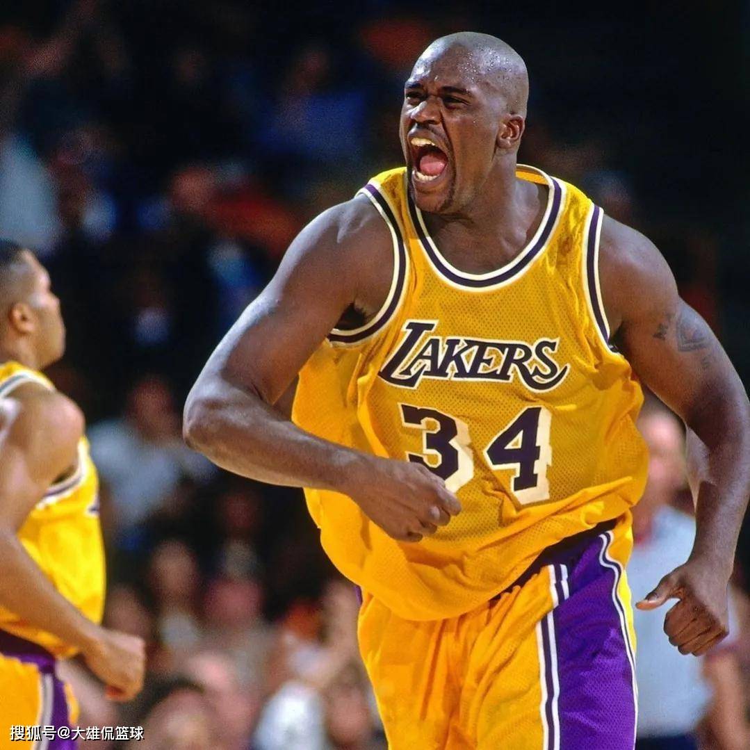 打野位以入 打野位以入